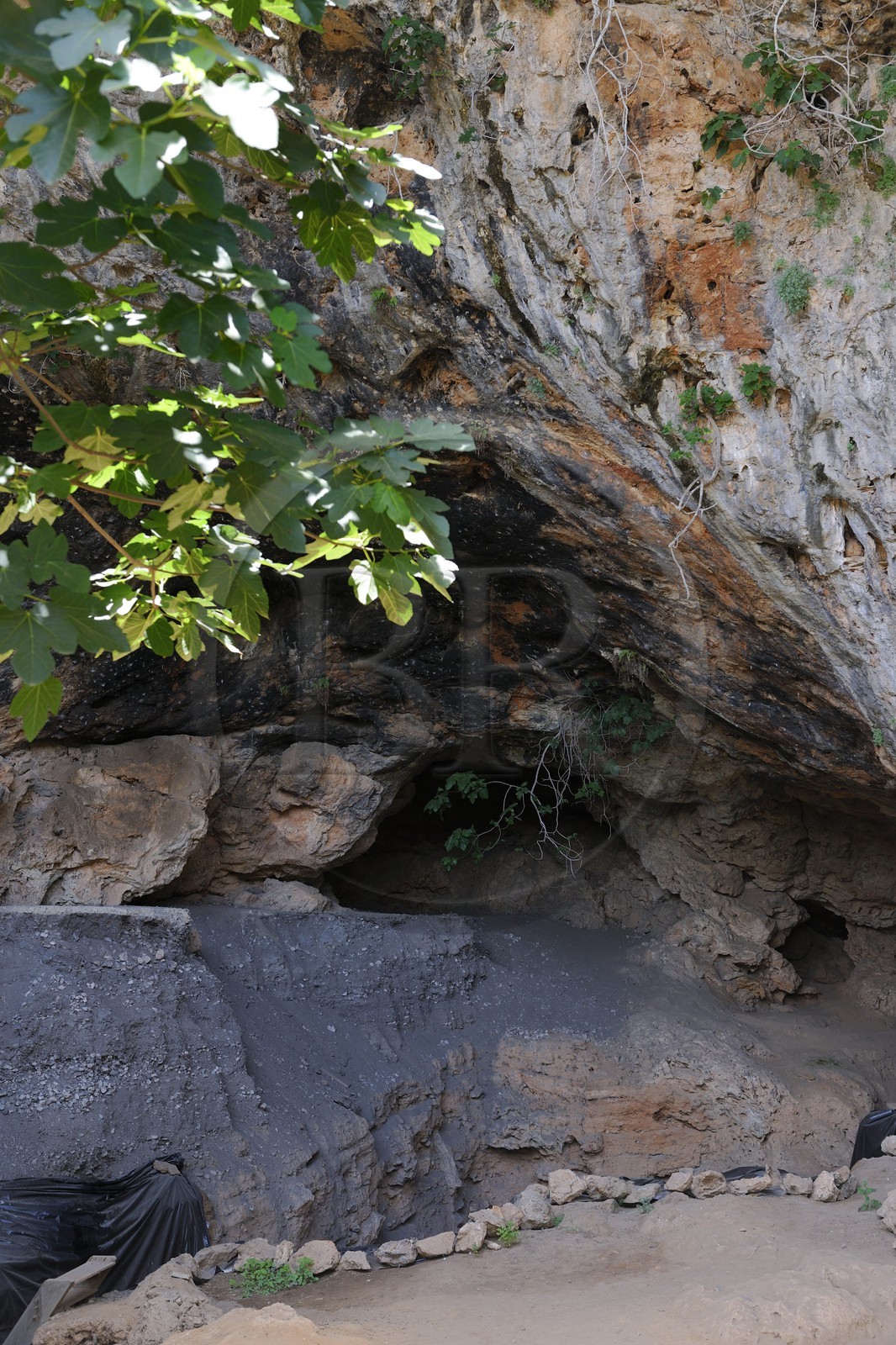 Morocco, Oriental Region, Rif Massif, Beni Snassen (Ayt Iznassen) Mountains in the North-East, the pigeons Cave