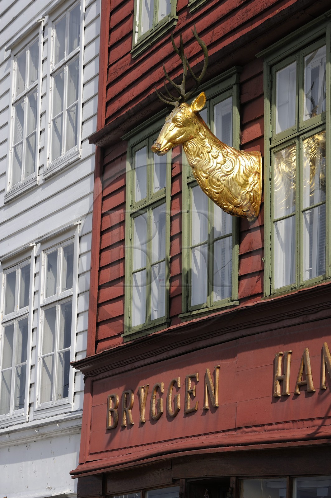 Norvège, comté de Hordaland, Bergen, maisons en bois du quartier de Bryggen, classé Patrimoine Mondial de l'UNESCO, ancien comptoir de la ligue hanséatique (la Hanse)