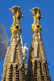 Espagne, Catalogne, Barcelone, quartier de l'Eixample, basilique de la Sagrada Familia de l'architecte du modernisme catalan Antoni Gaudi classée Patrimoine Mondial de l'UNESCO,  pinacle en mosaïque vénitienne des Tours des apotres et un des quatre campaniles de 135 mètres entourant le ciborium central dont le pinacle est couronné par le taureau ailé symbole de Saint Luc