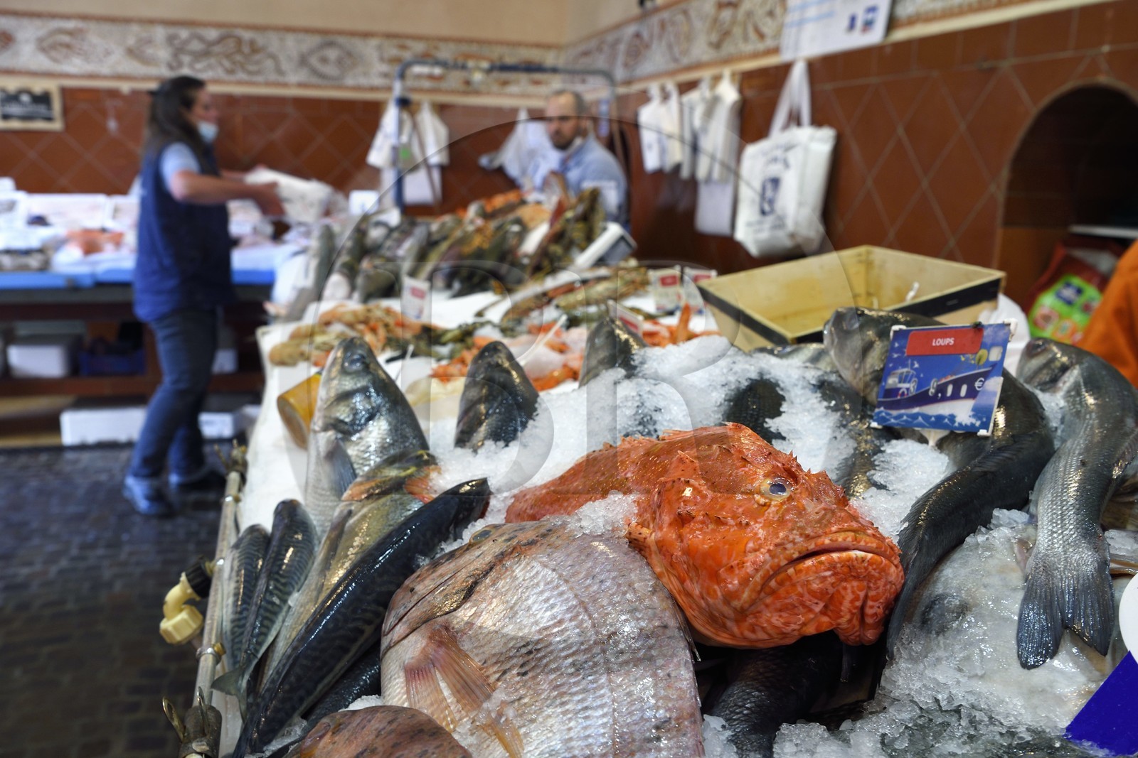 France, Var, Saint Tropez, fish market, lionfish on the stall
