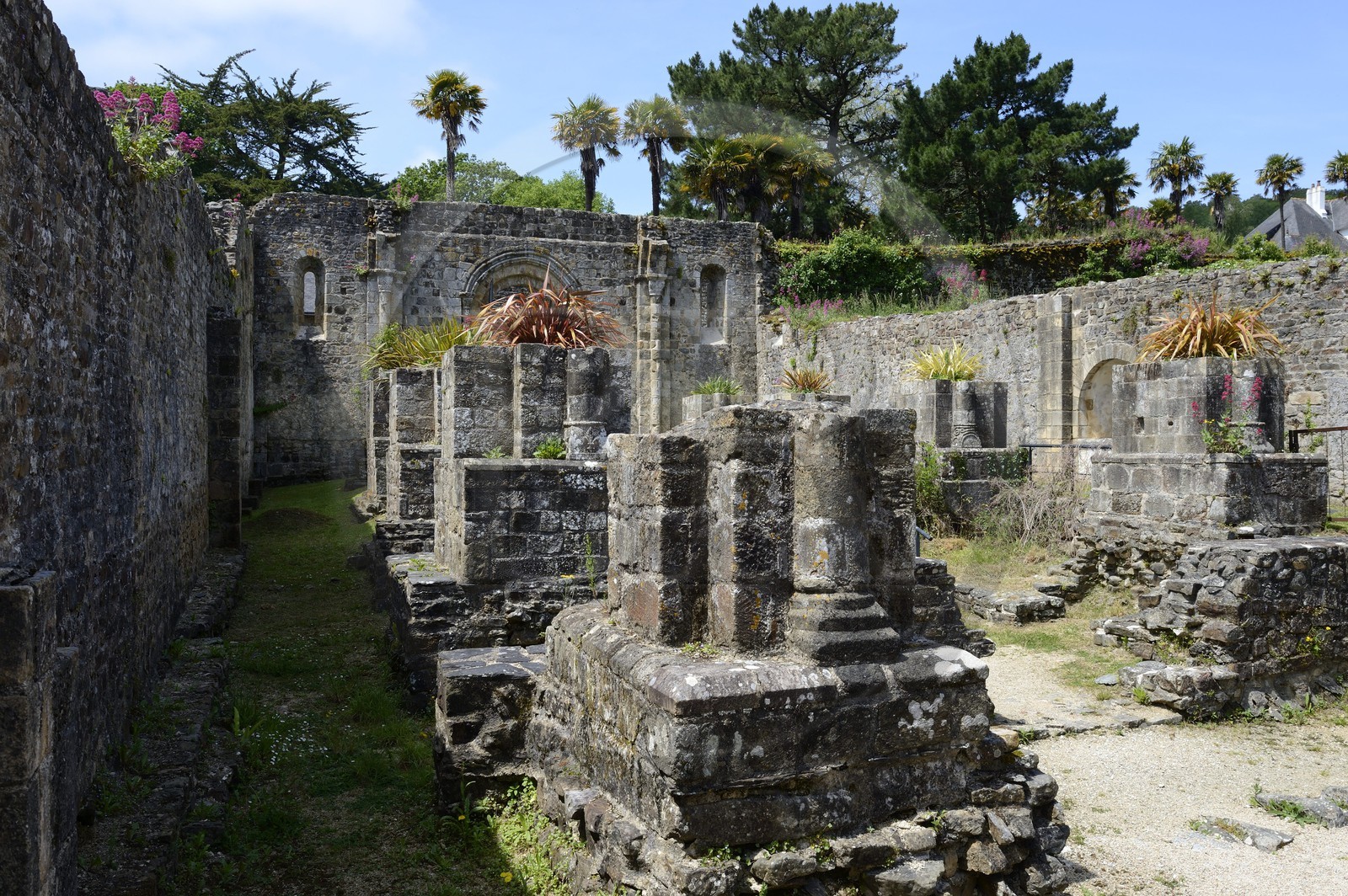 France, Finistère (29), , Mer d'Iroise, parc naturel régional d'Armorique, Presqu'île de Crozon, ruines de l'ancienne Abbaye Saint-Guénolé de Landévennec