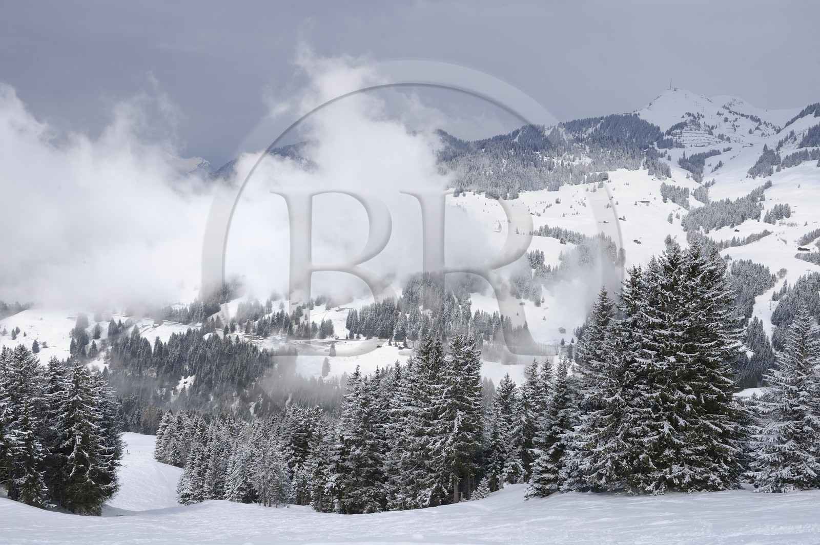 Switzerland, Canton of Vaud, Villars sur Ollon - Gryon ski area