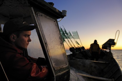 France, Seine-Maritime (76), au large de Veules-les-Roses à l'aube, pêche au filet à bord du bateau La Pomme appartenant à Anthony Paumier le plus jeune patron de pêche de France (22 ans) à l'époque, Anthony est décédé dans le naufrage de son bateau en mai 2012 avec son père Didier