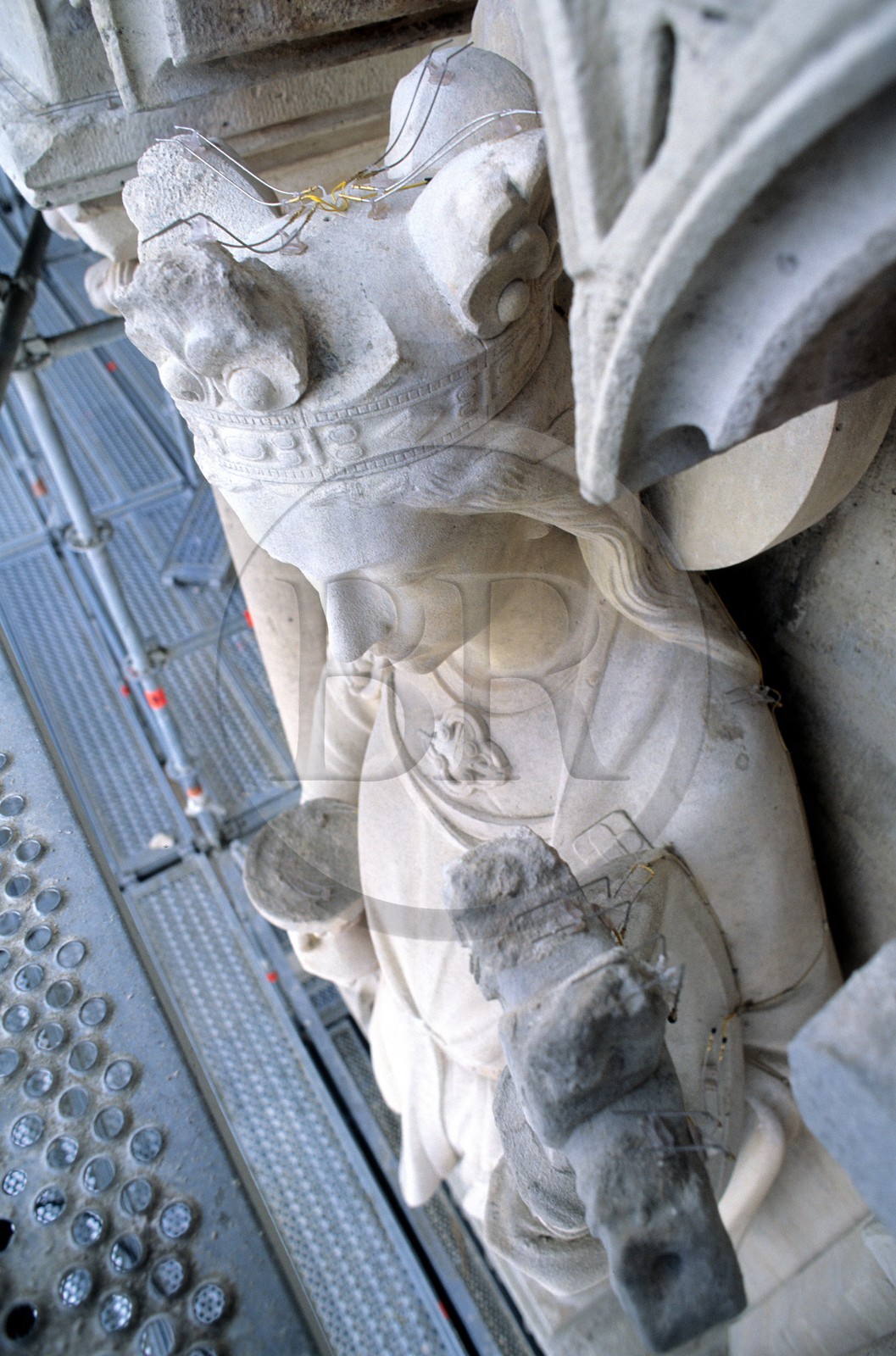 France, Paris (75), la cathédrale Notre-Dame, installation de système électrique anti-pigeons sur les statues (société Sertep)