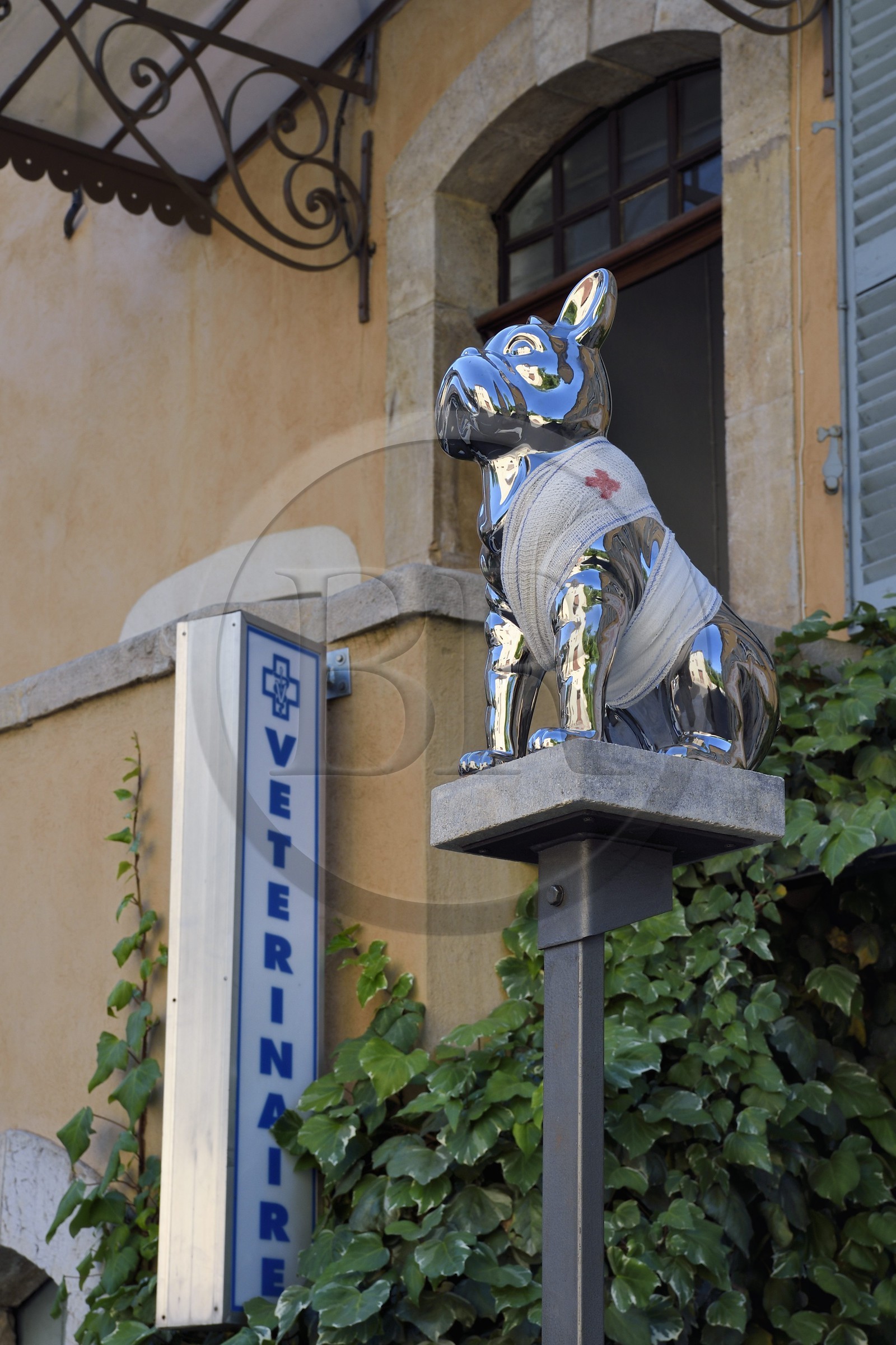 France, Var (83), Provence Verte, Cotignac, cours Gambetta, chien bandé comme enseigne d'une clinique vétérinaire