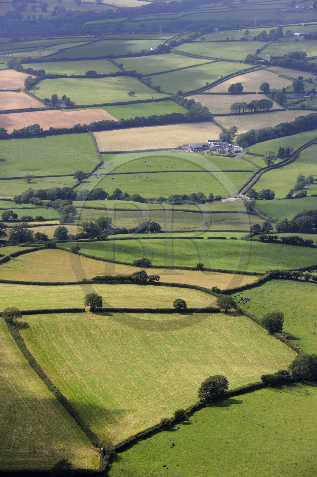 Royaume-Uni, Angleterre, Pays de Galles, champs dans la region de Mynydd-y-garreg ou Mynyddygarreg dans le Carmarthenshire (vue aérienne)