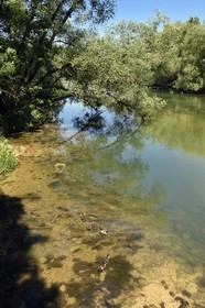 France, Meuse (55), Génicourt-sur-Meuse, Villiers-sur-Meuse, les rives de la Meuse