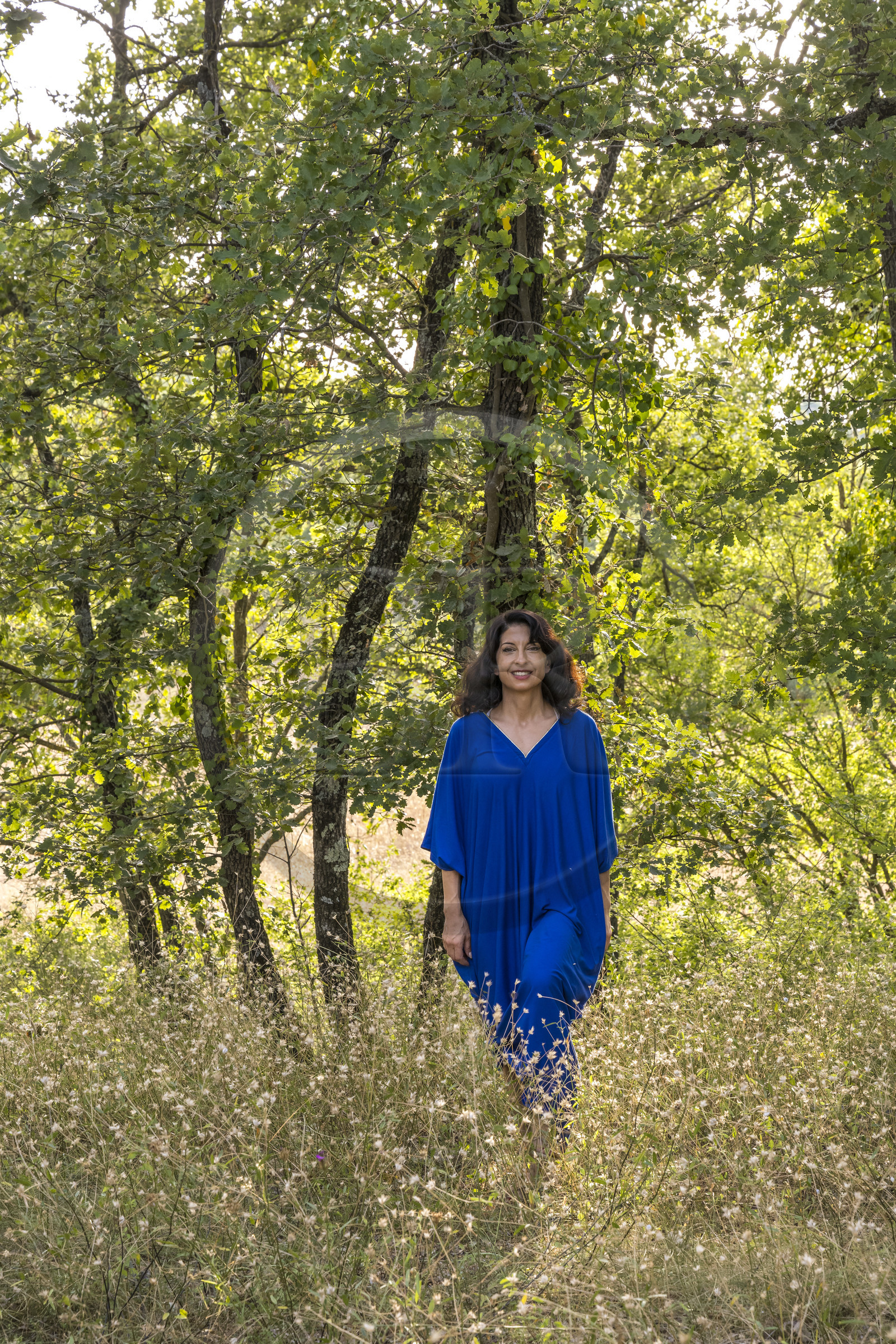France, Var (83), Provence Verte, Bras, vers Saint-Maximin-la-Sainte-Baume, la maison d'hotes Le Peyrourier - une campagne en Provence