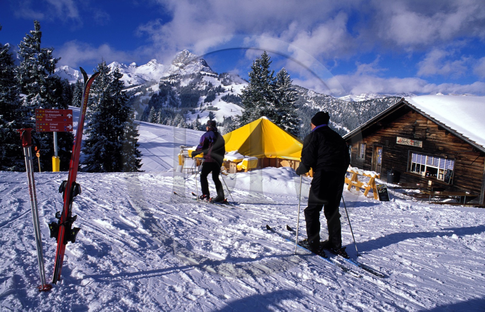 Suisse, région de Bern (Oberland Bernois), Saanenland, piste de ski sur les hauteurs de Gstaad