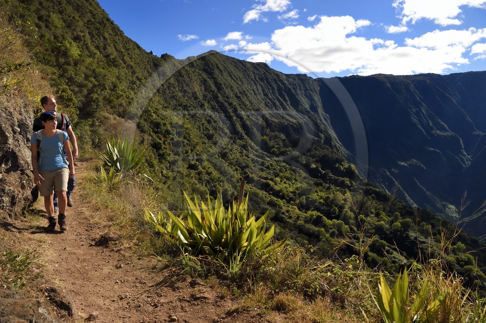 France, Ile de la Reunion, Parc National de la Réunion classé Patrimoine Mondial de l'UNESCO, La Possession, vers le village de Dos d'Ane, randonnée de la Roche Bouteille, randonneurs sur le sentier Cap Noir et le Cirque de Mafate à droite