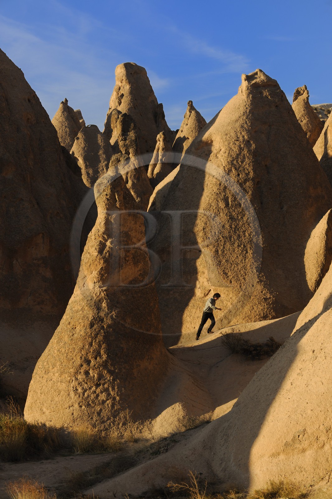 Turquie, Anatolie Centrale, province de Nevsehir, Cappadoce classée Patrimoine Mondial de l'UNESCO, paysage d'érosion et cheminées de fées entre Ürgüp et Avanos à Devrent Deresi