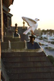 France, Calvados, Pays d'Auge, Deauville, Normandy Barriere Hotel, finial (hip-knob) representing  a bird, typical on the rooftops of the Pays d'Auge