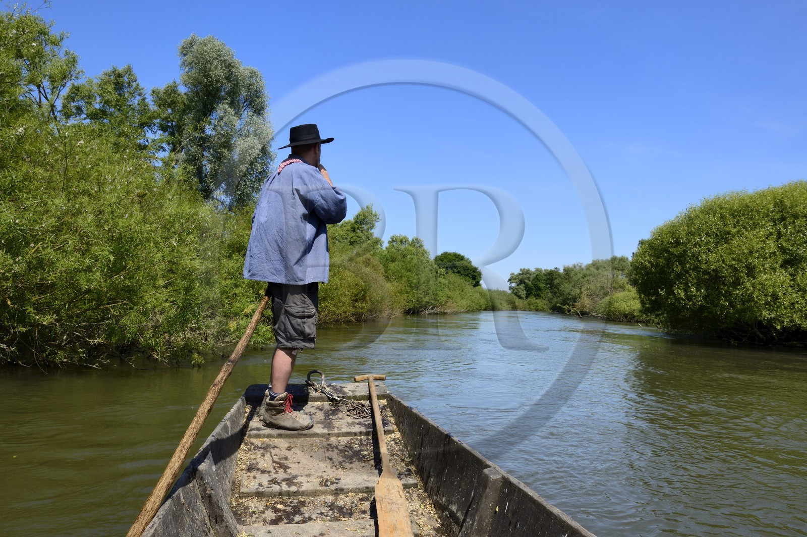 France, Bas Rhin, Ebersmunster and Muttersholtz region, the Ried, the boatman Patrick Unterstock in a small flat wooden bottom boat on the Ill river