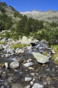 France, Hautes Pyrenees, Saint Lary Soulan, Neouvielle National Nature Reserve, Neouvielle lakes hike, torrent above Les Laquettes