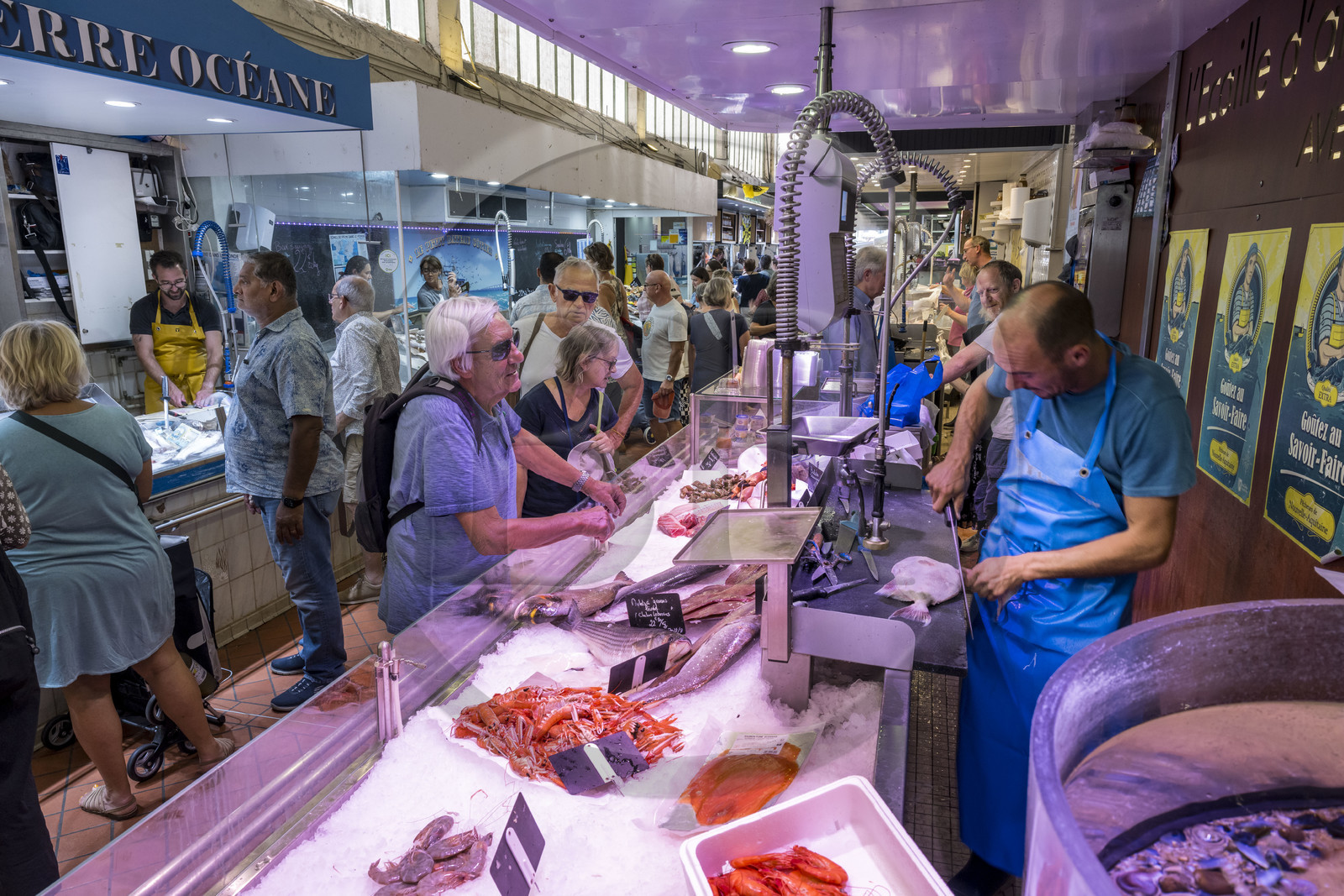 France, Charente Maritime, La Rochelle, the old 19th century covered market, fishmonger's stall