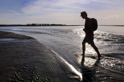 France, Manche (50), traversée à pied de la Baie du Mont-Saint-Michel, classé Patrimoine Mondial de l'UNESCO