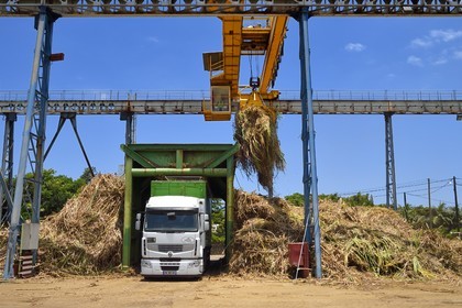 France, Ile de la Reunion, Saint-Joseph, un des 11 centres de réception et de collecte de la canne à sucre aussi appelés Balance, les tracteurs amènent depuis les champs la canne dans des remorques, elle est ensuite pesée et chargée dans de grand camions appelés cachalots pour être acheminée vers l'usine sucrière du Gol