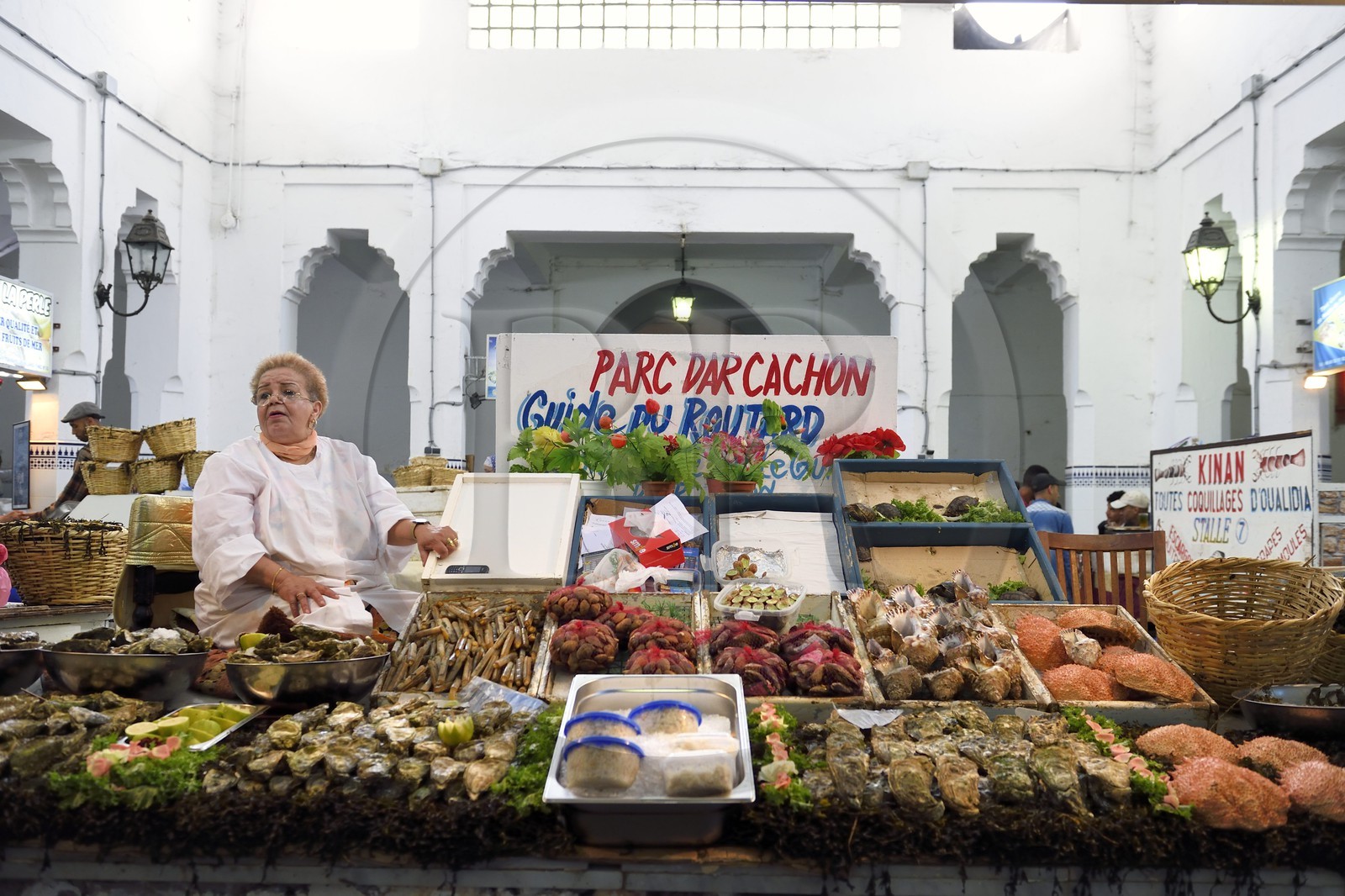 Maroc, Casablanca, boulevard Mohammed V, le Marché central construit en 1917 par l'architecte Pierre Bousquet, étal de fruits de mer