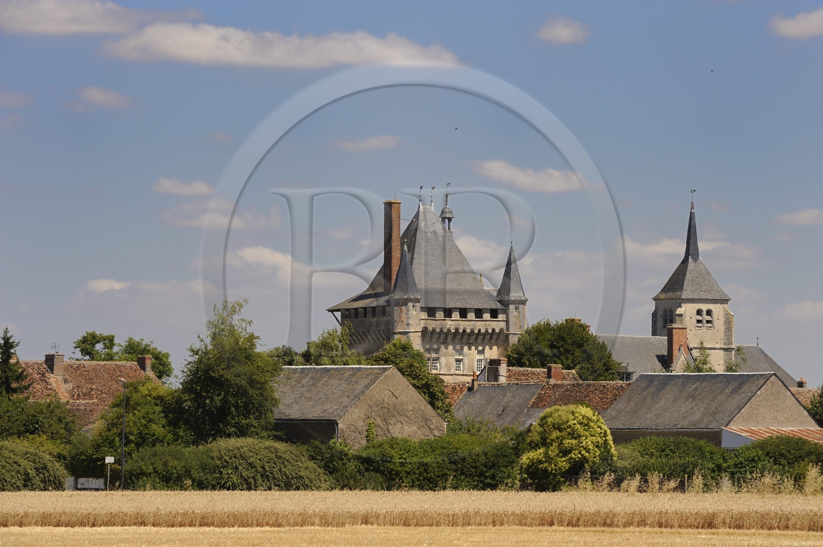 France, Loir et Cher, Chateau de Talcy