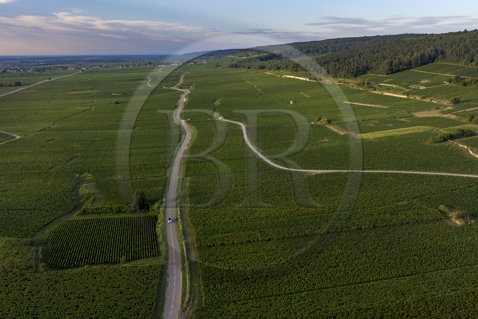 France, Cote d'Or, cultural Landscape of the climates of Burgundy listed as World Heritage by UNESCO, Route des Grands Crus (road of Vintage Wines), vineyard of the Côte de Nuits south of Gevrey Chambertin (aerial view)