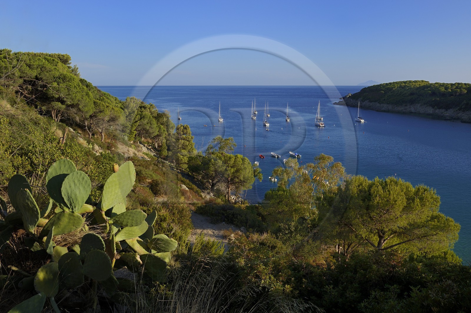 Italy, Tuscany, Elba Island, sailboat at anchor in the bay of Fetovaia on the South coast