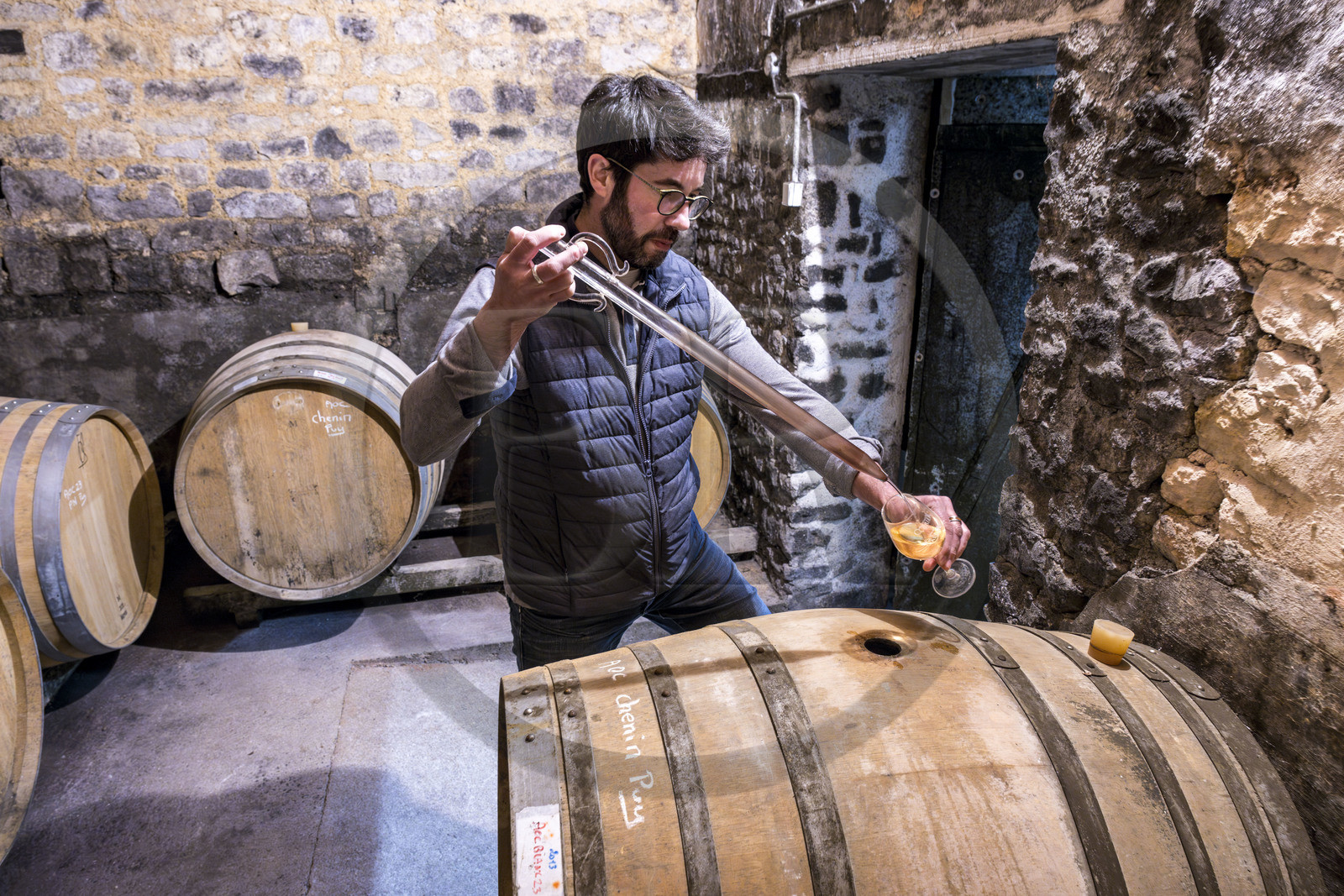 France, Vendée (85), Pissotte, le vigneron Mathieu Coirier produit du vin AOC fief vendéen certifié bio