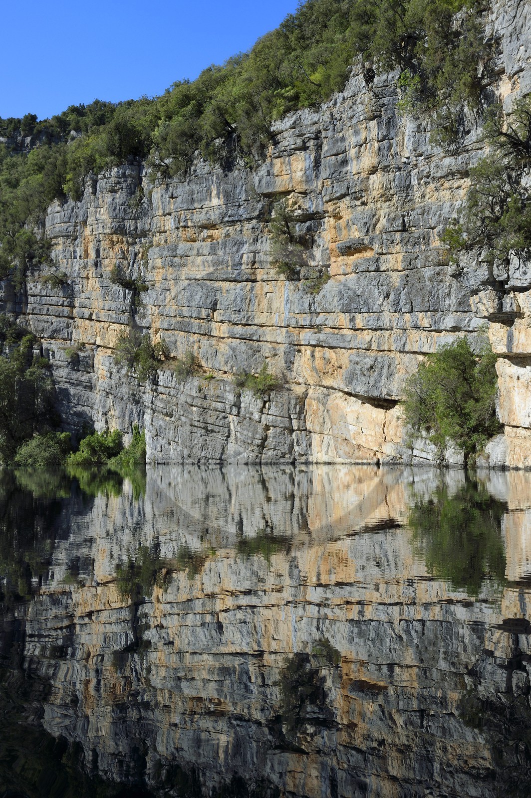 Var (83) rive gauche et Alpes-de-Haute-Provence (04) rive droite, Parc Naturel Régional du Verdon, Basses Gorges du Verdon en aval du lac de Sainte Croix, gorges de Baudinard