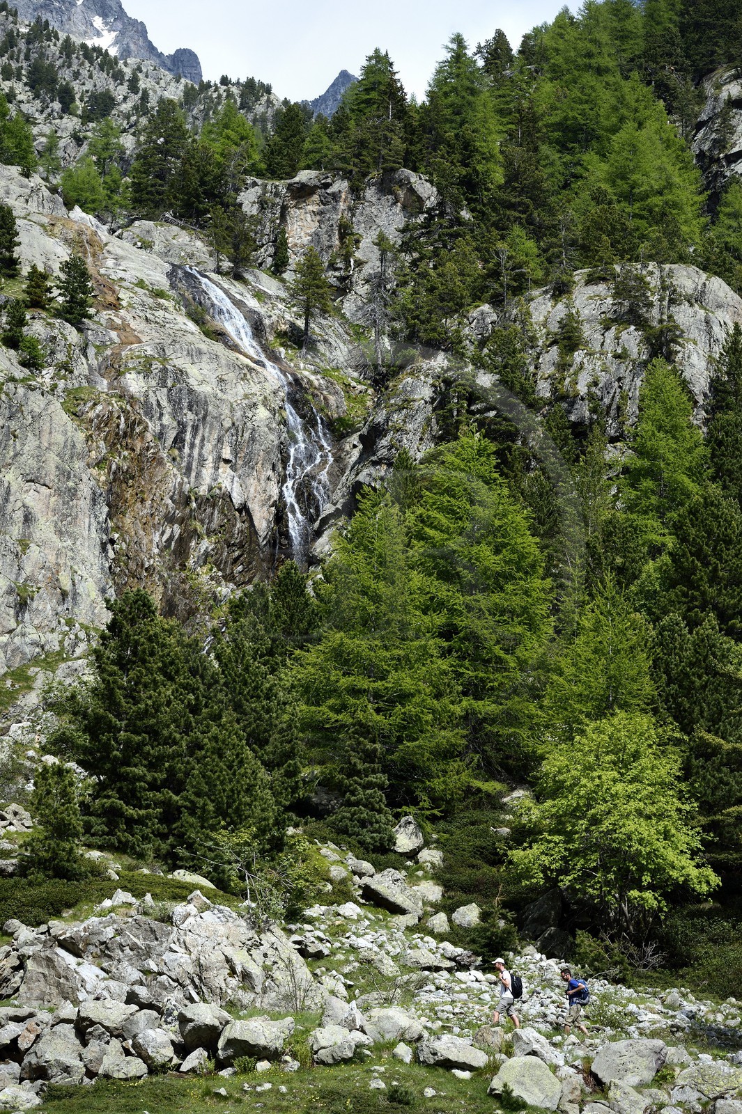 France, Alpes-Maritimes (06), parc national du Mercantour, Haute-Vésubie, randonnée dans le vallon de la Gordolasque