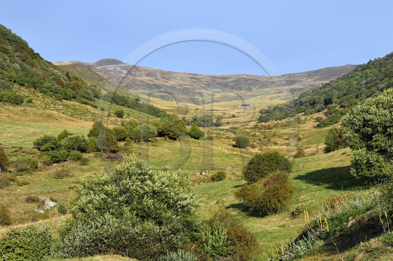 France, Cantal, Parc Naturel Régional des Volcans d'Auvergne (regional nature park of Auvergne volcanoes), the Plomb du Cantal (1855m) seen from the valley of the Prat de Bouc river to the south