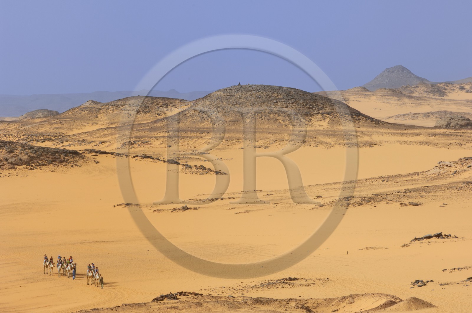 Egypt, Upper Egypt, Lake Nasser, Nubia desert, Wadi es-Sebua site or Valley of the Lions, camel caravan