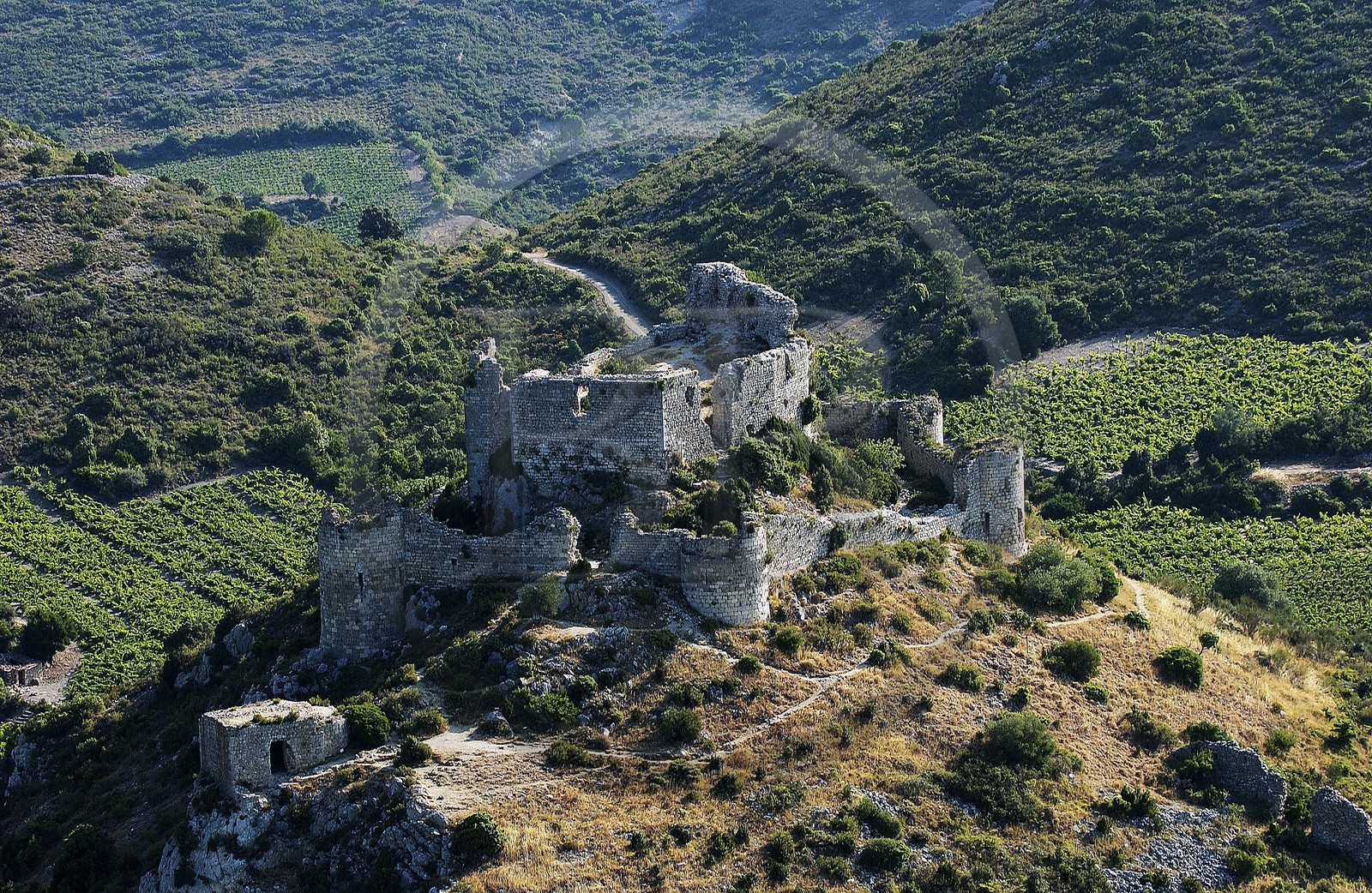 France, Aude, Aguillar cathar castle ruins overlooking Tuchan vineyard in the heart of Corbieres (aerial view)