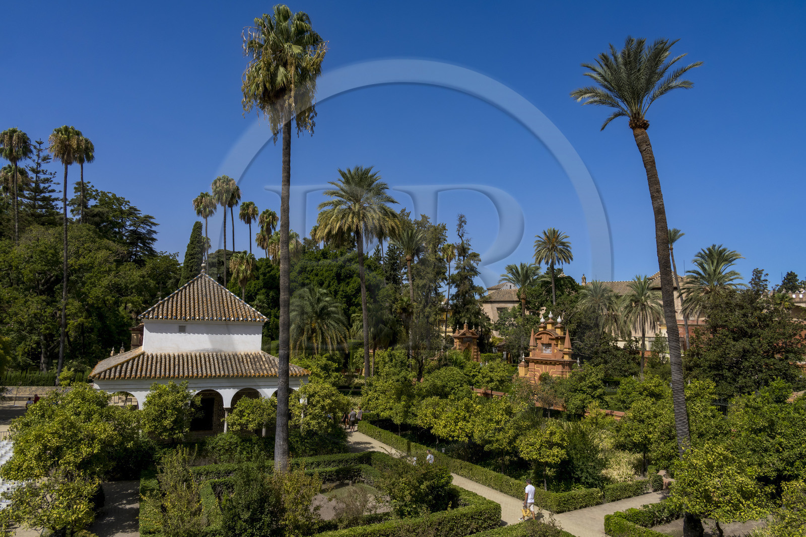 Espagne, Andalousie, Séville, Alcazar de Séville (Reales Alcazares de Sevilla), classé Patrimoine Mondial de l'UNESCO, les jardins et le pavillon de Carlos V