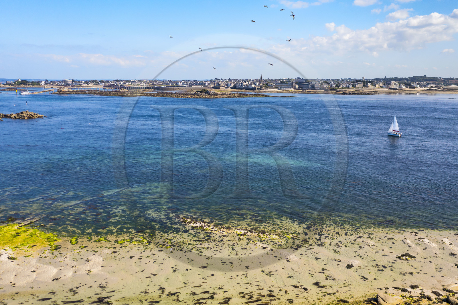 France, Finistère (29), Iles du Ponant, Ile de Batz, le chenal entre la Pointe de Penn-Batz et Roscoff en arrière plan (vue aérienne)