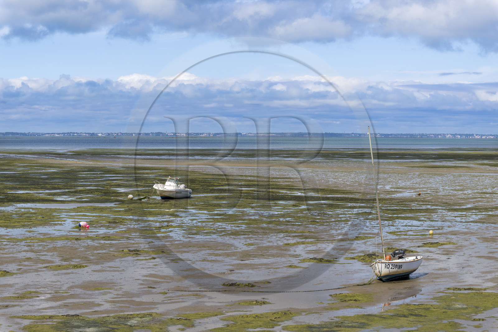 France, Vendée (85), île de Noirmoutier, Barbatre, la mer à marée basse devant la digue entre le Port de Bonhomme et le passage du Gois