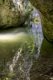 France, Vaucluse (84), Parc naturel régional du Mont Ventoux, Monieux, Gorges de La Nesque, la Nesque
