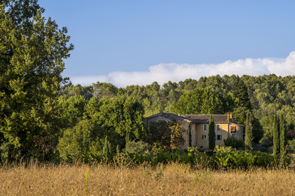 France, Var, Provence Verte (Green Provence), Bras village next to Saint Maximin, Le Peyrourier - une campagne en Provence Bed and Breakfast