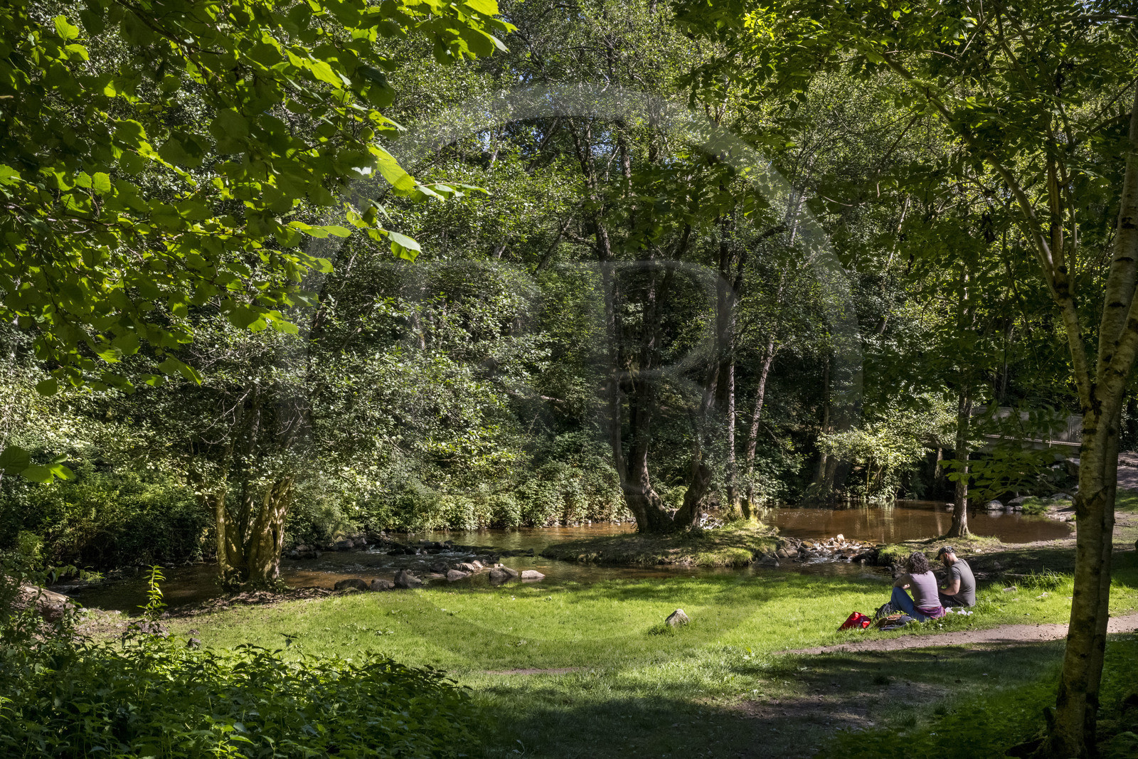 France, Nievre, Regional Natural Park of Morvan, Gouloux, the Saut de Gouloux site and the Cure River