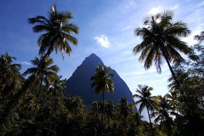 Caribbean sea, Saint Lucia island, Petit Piton in Soufrière