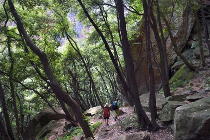 France, Var (83), entre Bagnols-en-Forêt et Roquebrune-sur-Argens, randonnée dans les Gorges du Blavet
