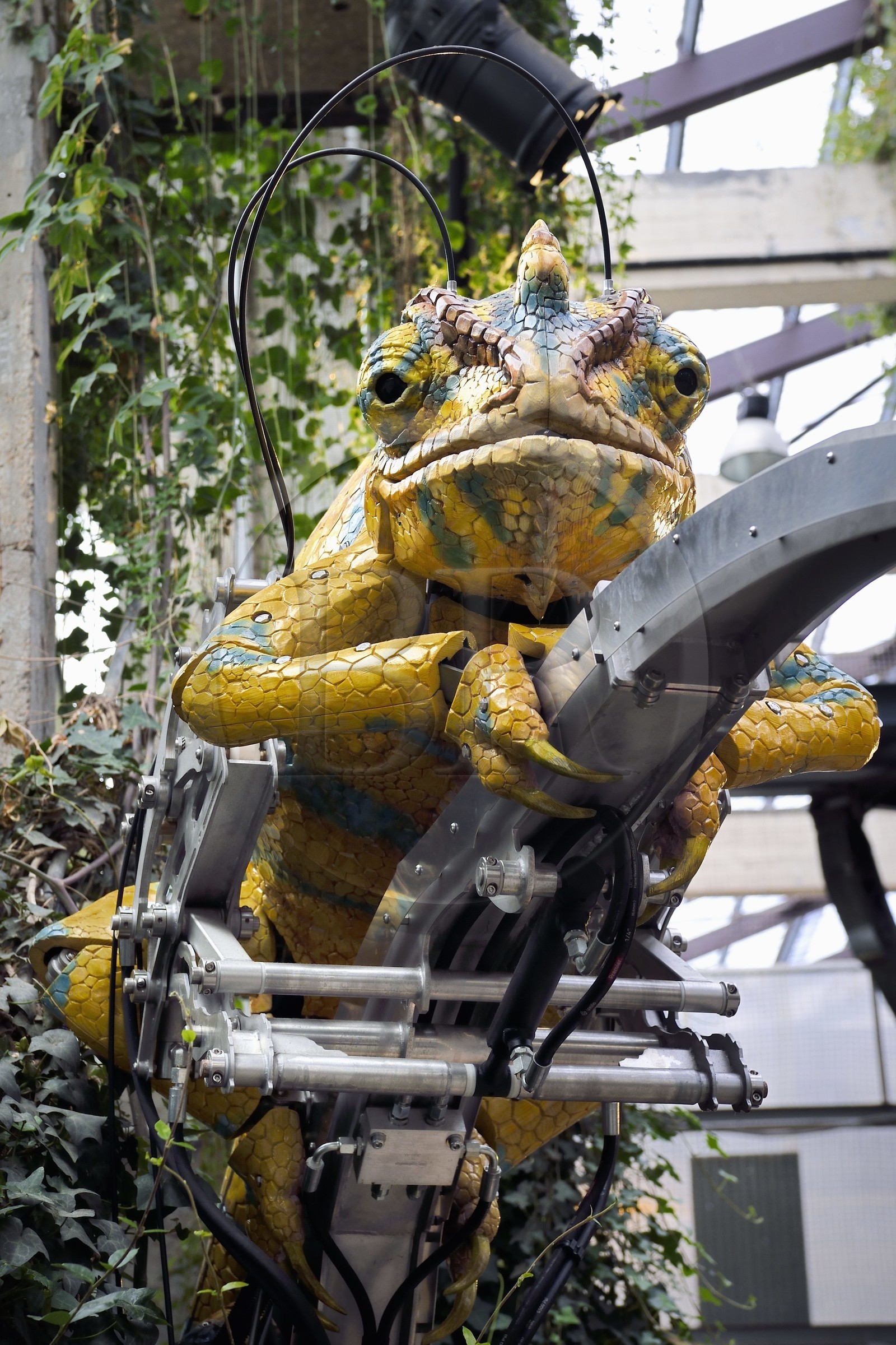 France, Loire-Atlantique, Nantes, gallery of the Machines de l'Ile in the hangars of former shipyards, an artistic project created by François Delaroziere and Pierre Orefice, the Mechanical Chameleon