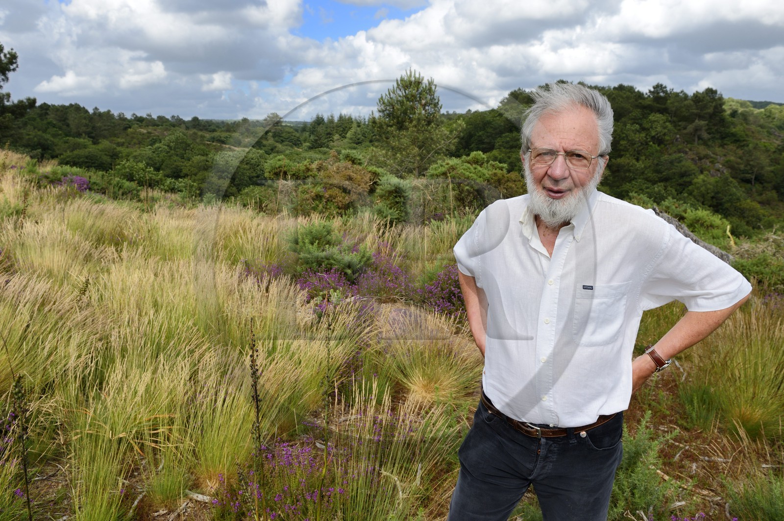France, Morbihan, forest of Broceliande, Trehorenteuc, the writer and storyteller Jacky Ealet