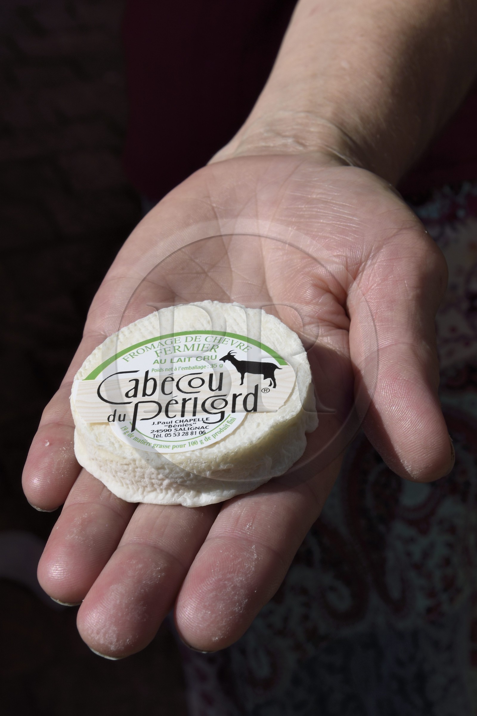 France, Dordogne, Perigord Noir, Dordogne valley, Sarlat la Caneda, market day, Cabécou de Périgord cheese