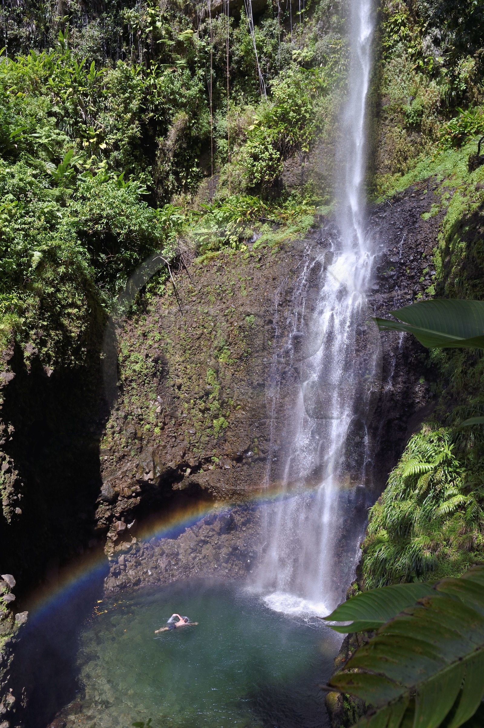 Caraïbes, Ile de la Dominique, Parc national du Morne Trois Pitons classé Patrimoine Mondial de l'UNESCO, randonneur à la cascade de Middleham Falls sur le sentier de randonnée Waitukubuli qui traverse l’ile