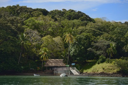 Panama, Chiriqui province, Gulf of Chiriqui National Marine Park, Isla Palenque