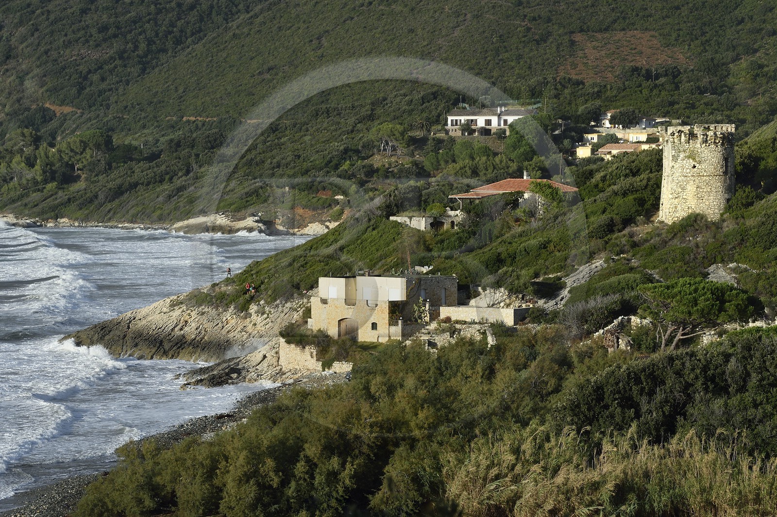 France, Haute-Corse (2B), la tour génoise de Farinole