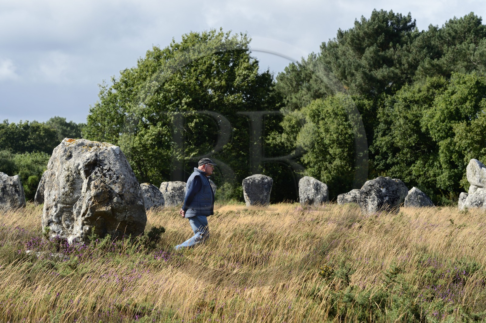 France, Morbihan, Carnac, row of megalithic standing stones at Manio