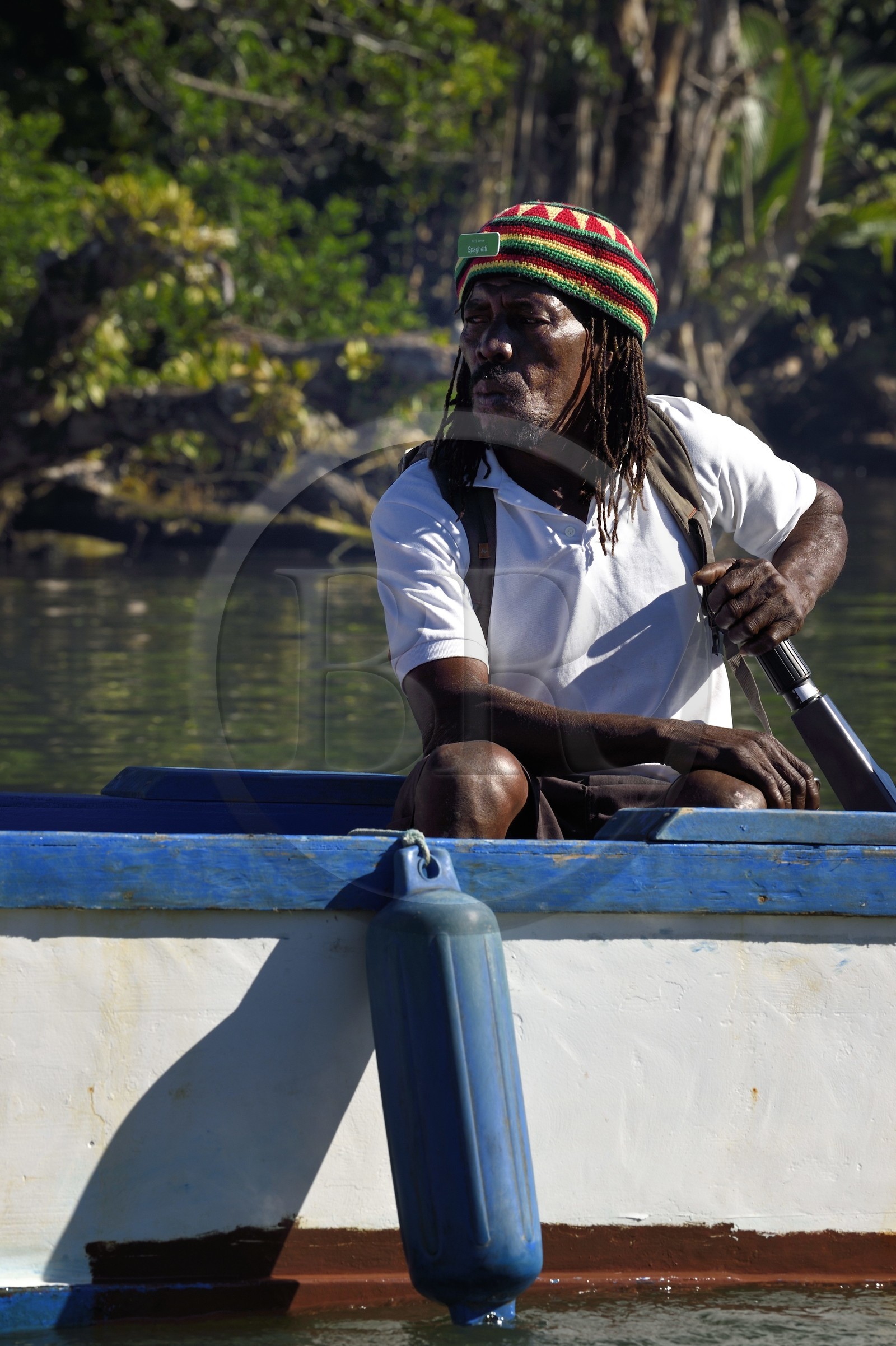 Caraïbes, Ile de la Dominique, Portsmouth, les rives de l'Indian River, guide rasta