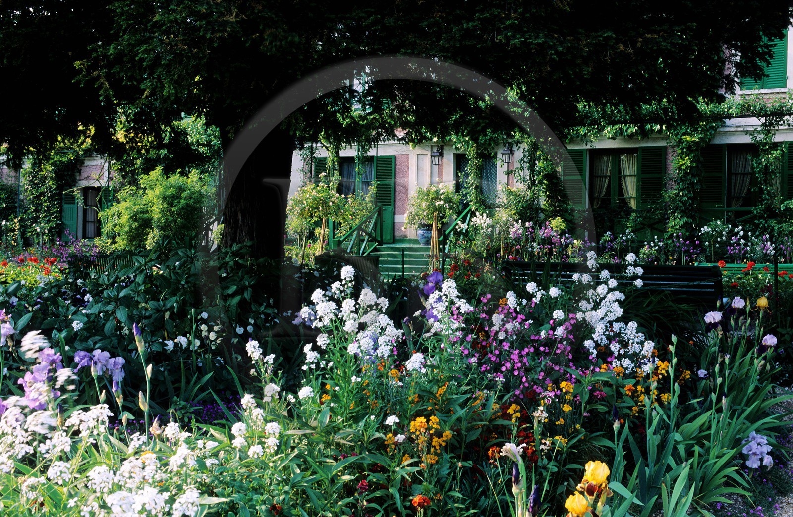 France, Eure (27), Giverny, jardin de Claude Monet, fleurs de mai