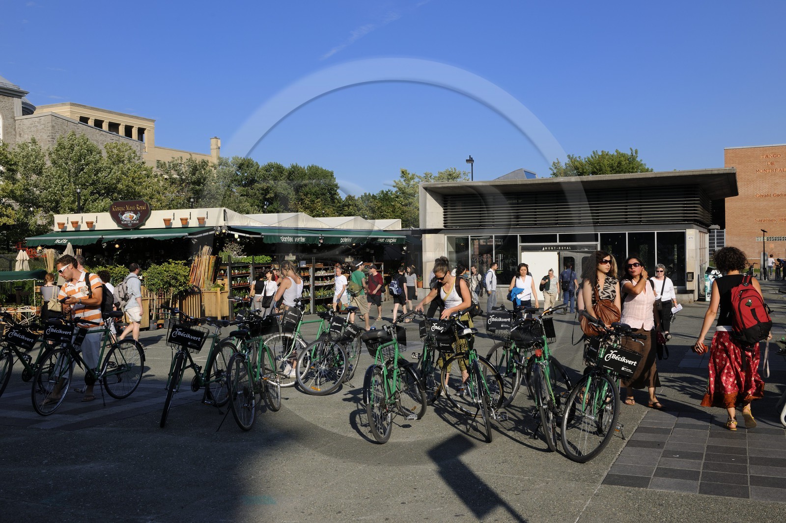 Canada, province de Québec, Montréal, quartier du Plateau Mont Royal