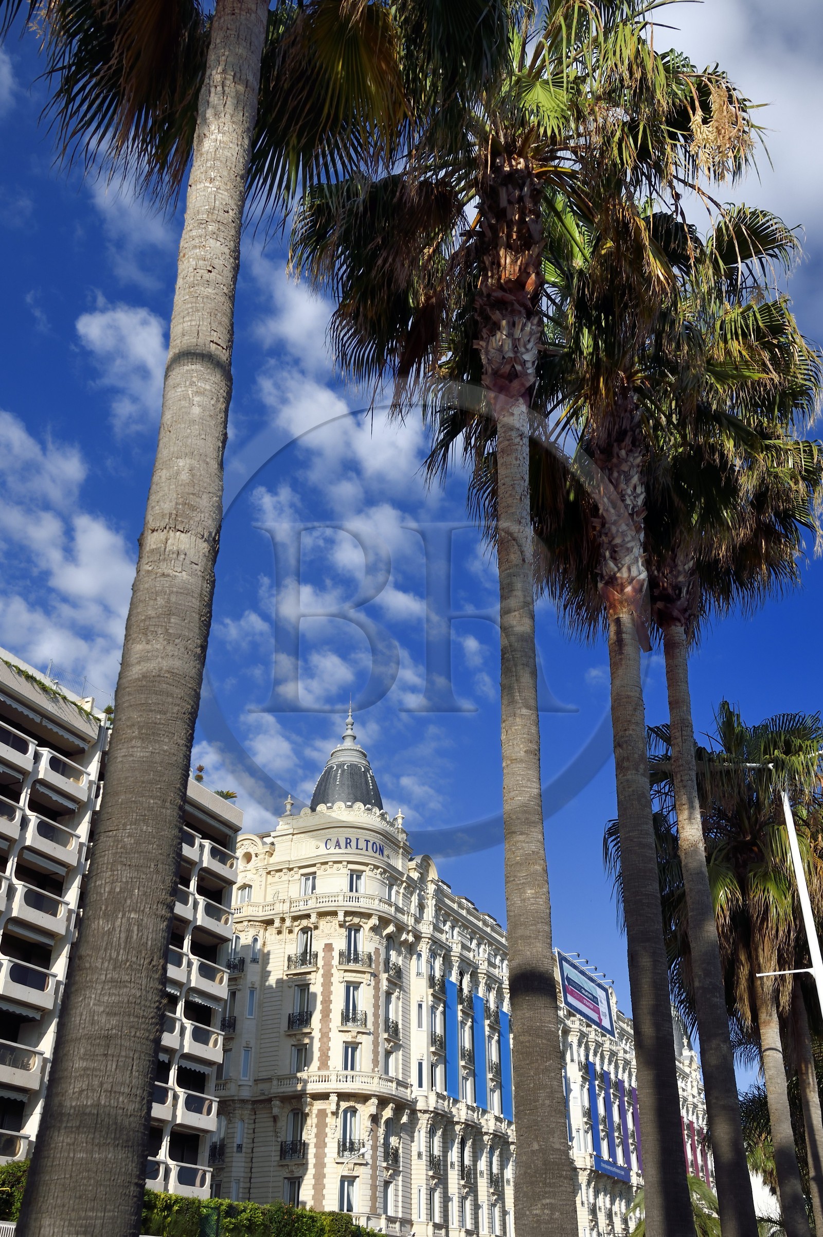 France, Alpes-Maritimes, Cannes, the Carlton palace on the boulevard de la Croisette